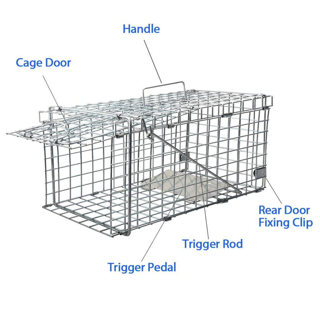 Gingbau Squirrel Trap Foldable Heavy Duty Humane Live Animal Cage Trap (Not for Mouse)
