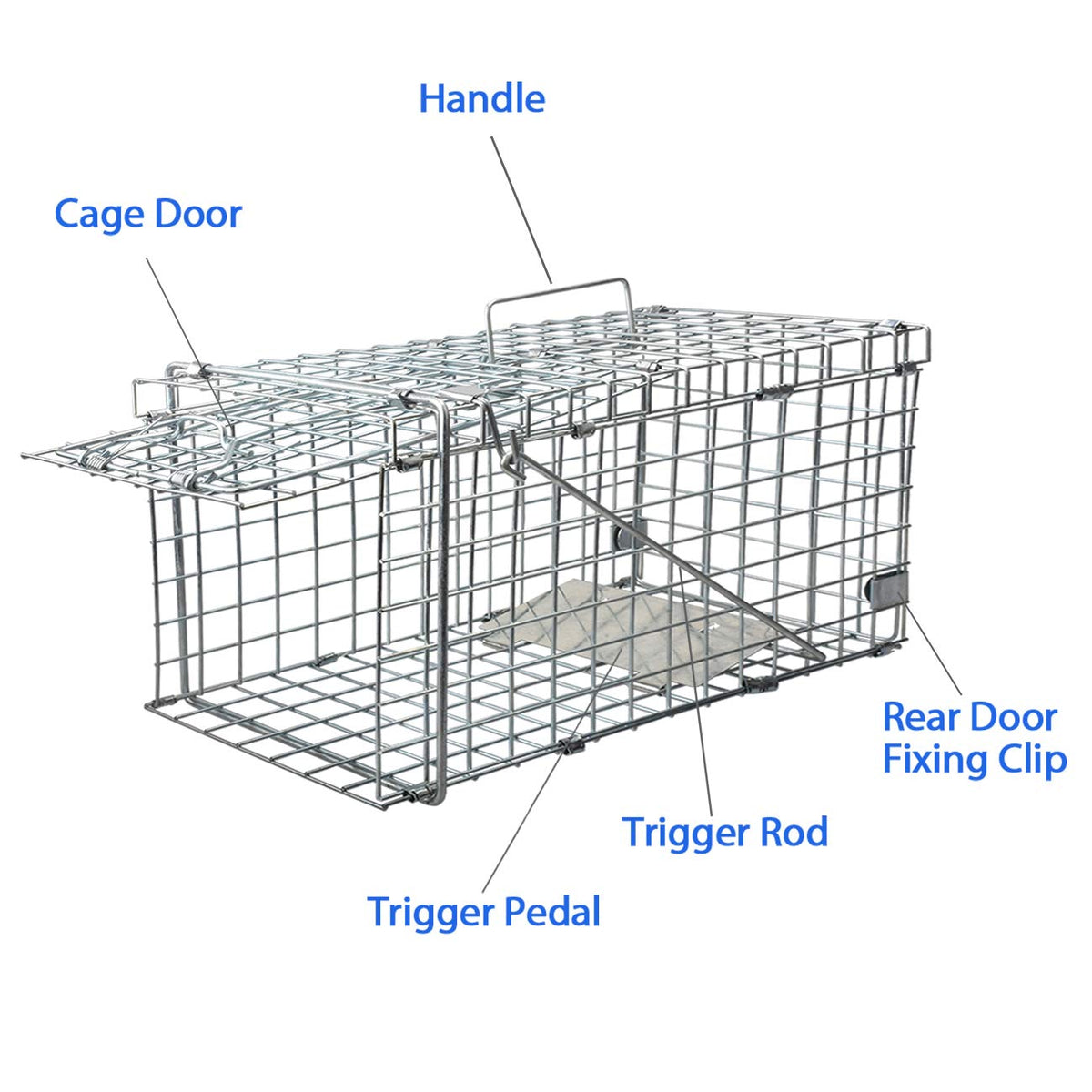 Gingbau Squirrel Trap Foldable Heavy Duty Humane Live Animal Cage Trap (Not for Mouse)