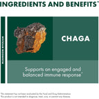 Buy now Host Defense Chaga Extract - Immune System Support Supplement - Chaga Mushroom for Antioxidant Activity Support - Liquid Dietary Mushroom Supplement - 2 fl oz (60 Servings)* at indiglob india