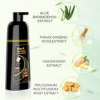 KAISASA Black Hair Dye Shampoo 3 in 1,Hair Color Shampoo for Women and Men | Hair Dye Shampoo Covers Gray Hair