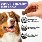 Skin & Coat Supplement for Dogs - Omega 3 6 9 Fish Oil & Vitamin E Soft Chews - Dog Itch Relief, Anti-Shedding & Shiny Coat Support for All Breeds, 90 Count
