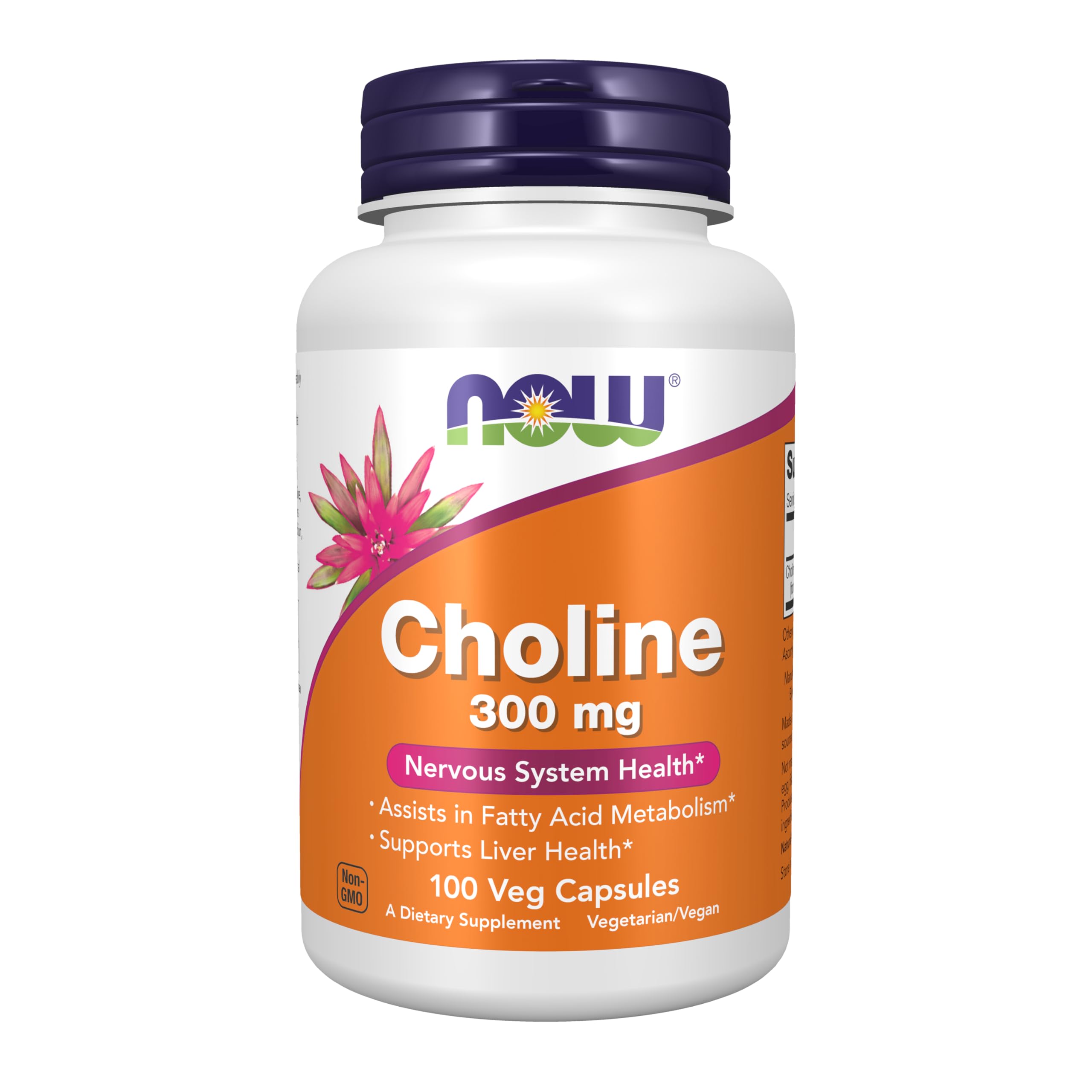 Buy now Now Supplements Choline 300 mg, 100 Veg Capsules - Supports Nervous System and Liver Health*, Vegan at indiglob india