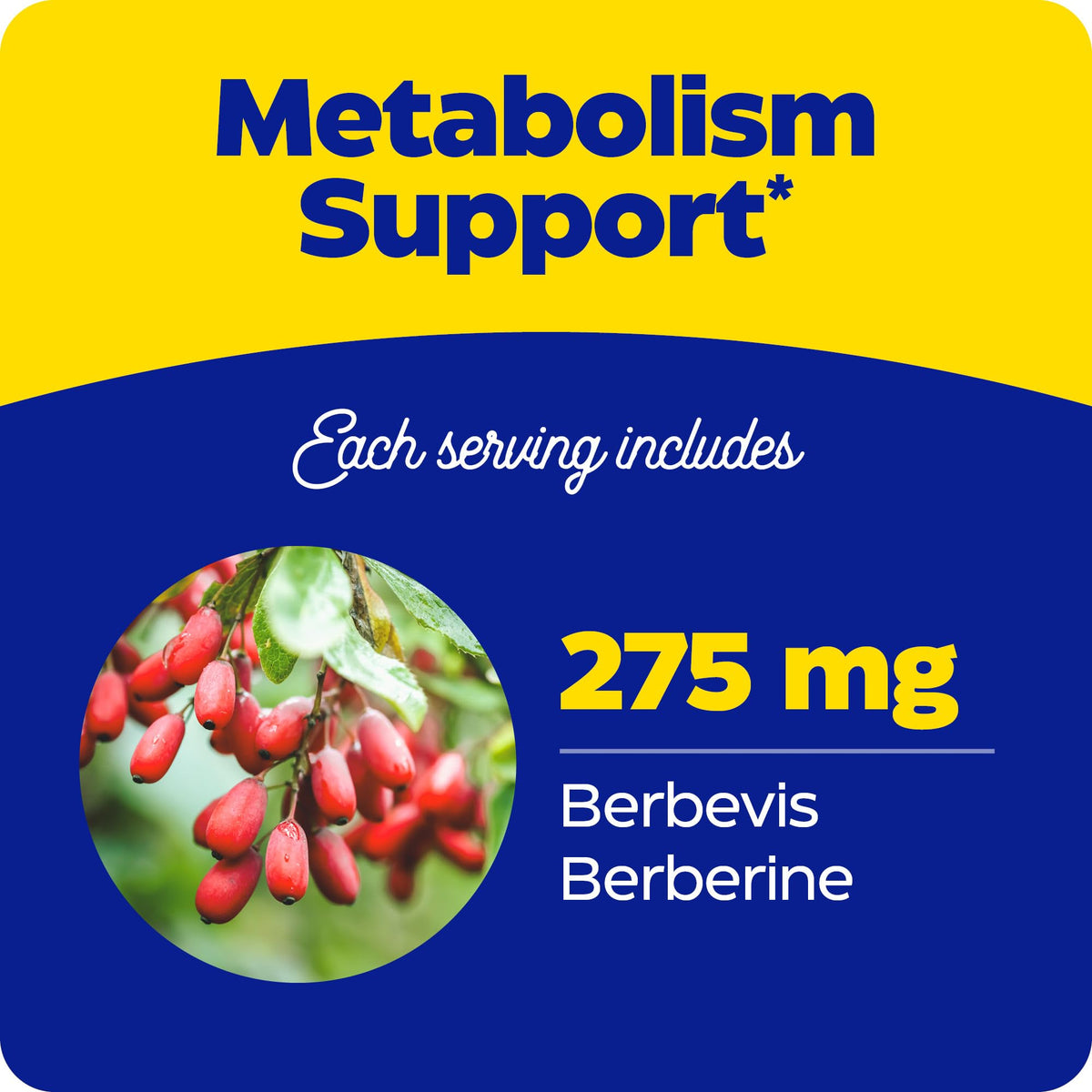 Enzymedica Berberine Phytosome High Absorption Supplement - 60 Caps
