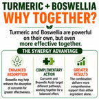 Turmeric Boswellia Extract Supplement 2000 mg – Extra Strength Boswellia Serrata with Turmeric Curcumin - 95% Curcuminoids with Boswellia Extract Capsules - Standardized High Potency - Made in USA