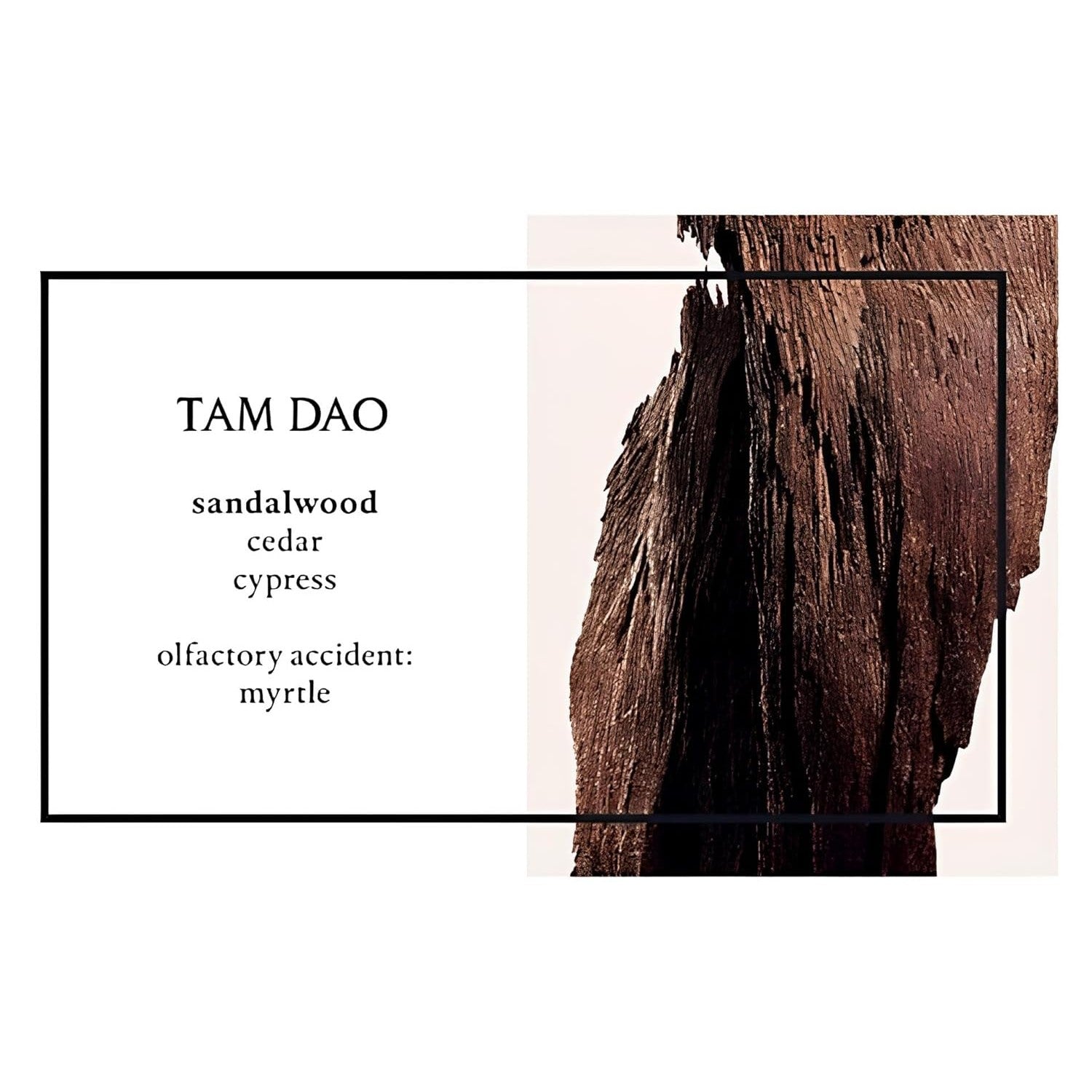 Buy now Diptyque Tam Dao Unisex EDT Spray 3.4 oz at indiglob india