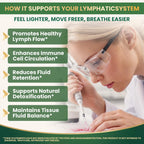 Dalin Liposomal Lymphatic Drainage Drops - 21 in 1 Organic Lymphatic Drainage Supplement with Burdock Root, Echinacea, Elderberry, Calendula - Supports Lymphatic Health - Liquid Form - 1pc - 2 fl oz
