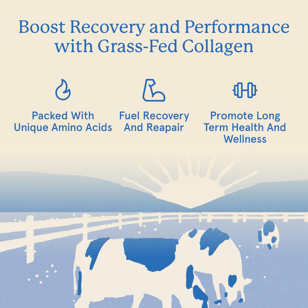 Equip Grass-Fed Hydrolyzed Collagen Powder - Pasture-Raised Bovine Collagen Peptides Powder - 14g Per Scoop - Clean, Daily Supplement for Joints, Gut, Skin, Hair & Nails - Vanilla (30 Scoops)