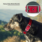 Personalized Dog Collar with Name and Number for Large Medium Small Dogs