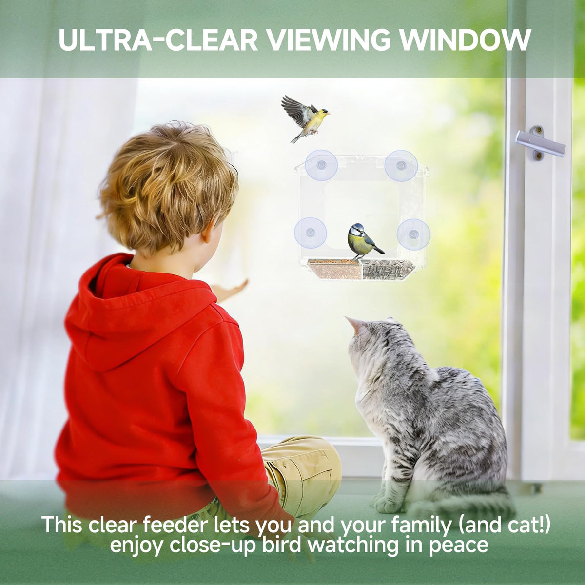 Window Bird Feeder with 4 Extra Strong Suction Cups (2.5 Inch)