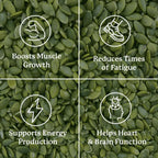 Nature’s Sunshine Magnesium Complex - High Potency Magnesium Supplement with Citrate & Malate for Relaxation, Optimal Absorption, Muscle Function, Energy Production - 50 Servings (100 Capsules)