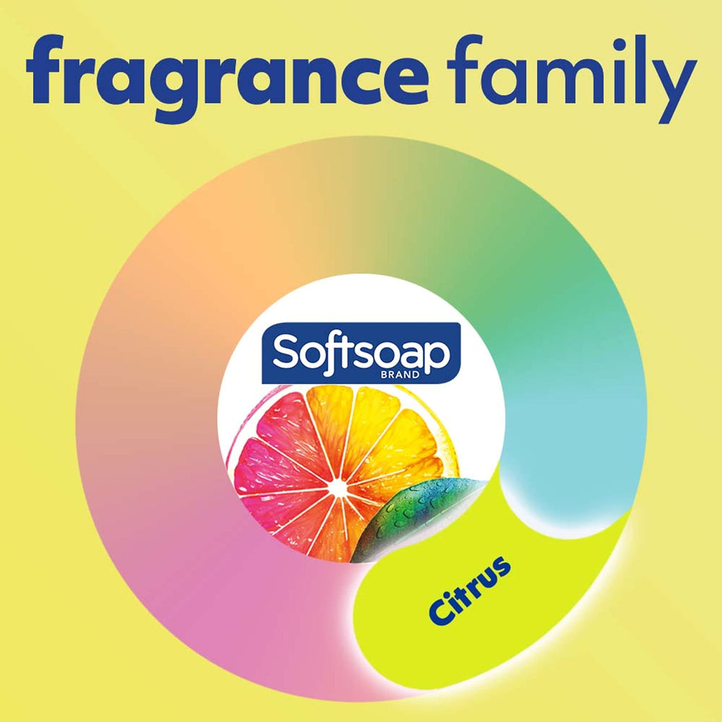 Buy now Softsoap Antibacterial Liquid Hand Soap, Kitchen Fresh Hand Soap, 11.25 Fl Oz (Pack of 6) at indiglob india