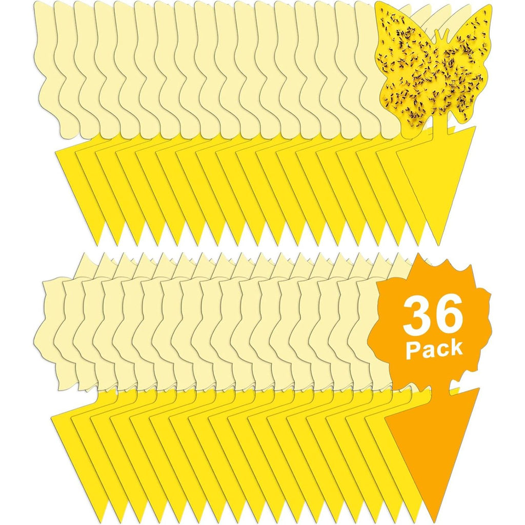 Buy now 36 Pack Fruit Fly Traps for Indoors, Gnat Traps for House Indoor, Sticky Traps Fungus Gnats Killer for Mosquito and Flying Insects, Bug Pest Insect Catcher Killer for Houseplant at indiglob india