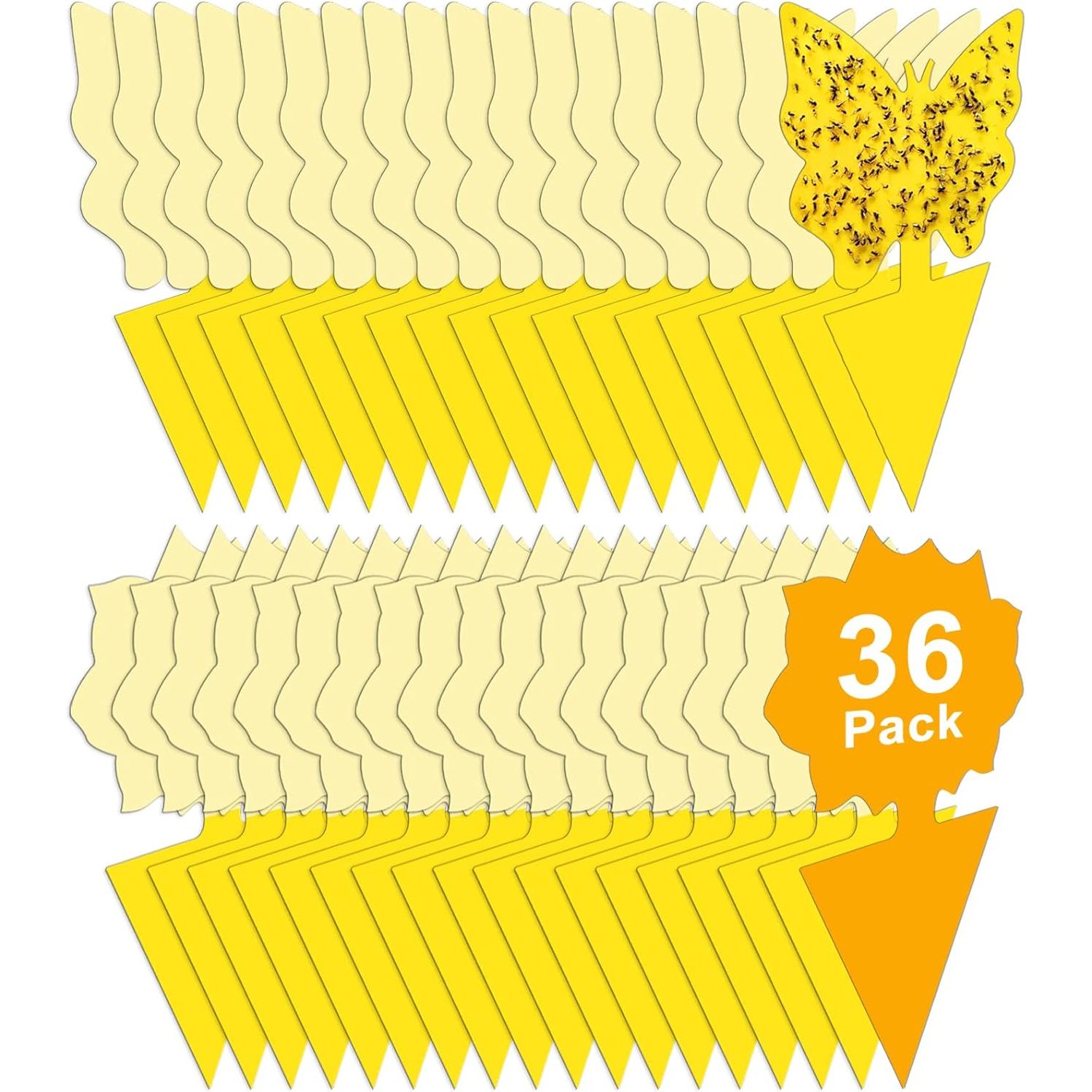Buy now 36 Pack Fruit Fly Traps for Indoors, Gnat Traps for House Indoor, Sticky Traps Fungus Gnats Killer for Mosquito and Flying Insects, Bug Pest Insect Catcher Killer for Houseplant at indiglob india