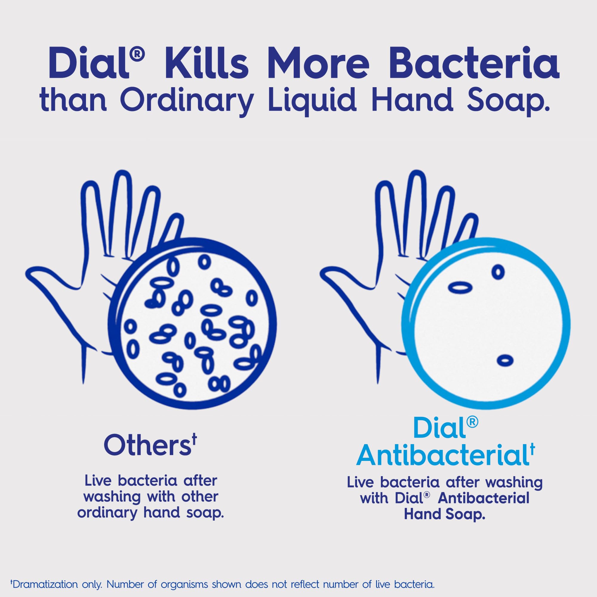 Dial Antibacterial Liquid Hand Soap, Spring Water, 11 Fl Oz