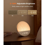 Dreamegg Sunrise Alarm Clock, Natural Wake up Light, White Noise Machine