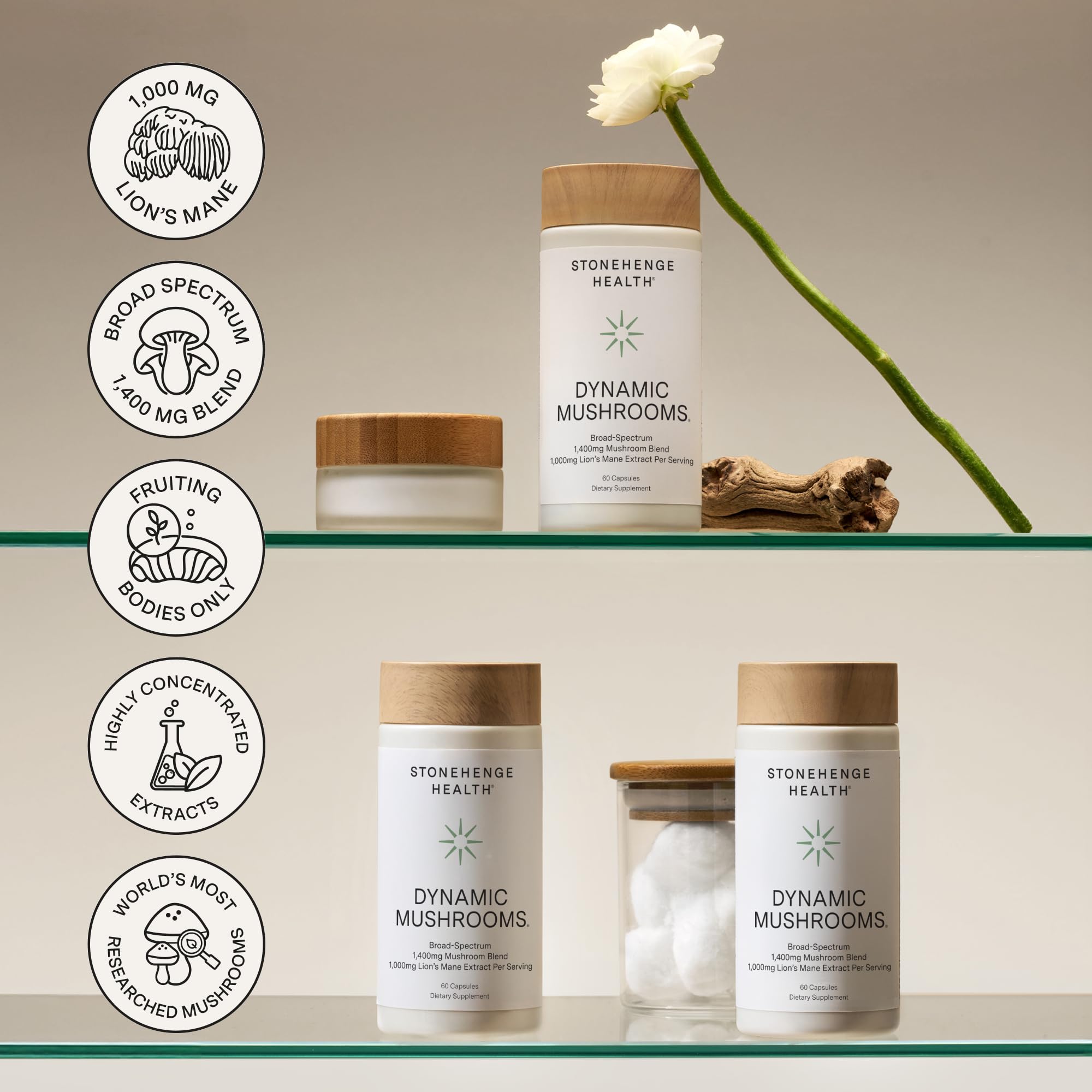 Stonehenge Health Dynamic Mushrooms® | Lions Mane+ Brain, Memory, Focus | Mushroom Supplements for Brain Memory Focus Immune Support Lion's Mane Reishi Chaga Maitake Shiitake 1400mg Fruiting Bodies
