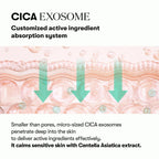 VT COSMETICS PDRN Cica Exosome Ampoule, 1.01 fl. oz.