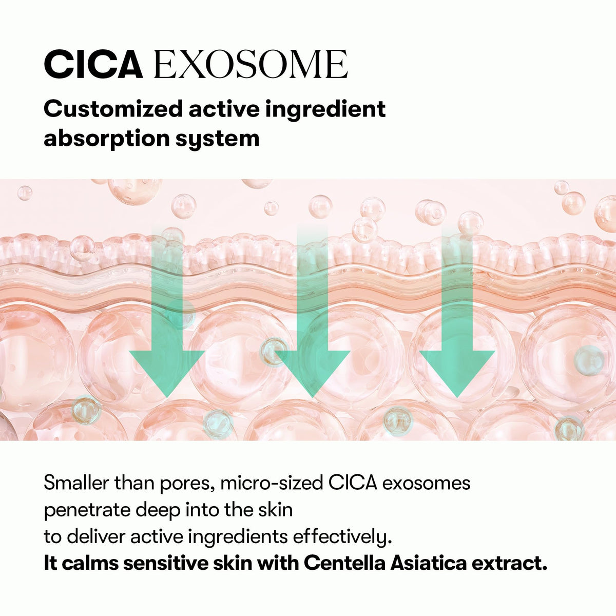 VT COSMETICS PDRN Cica Exosome Ampoule, 1.01 fl. oz.