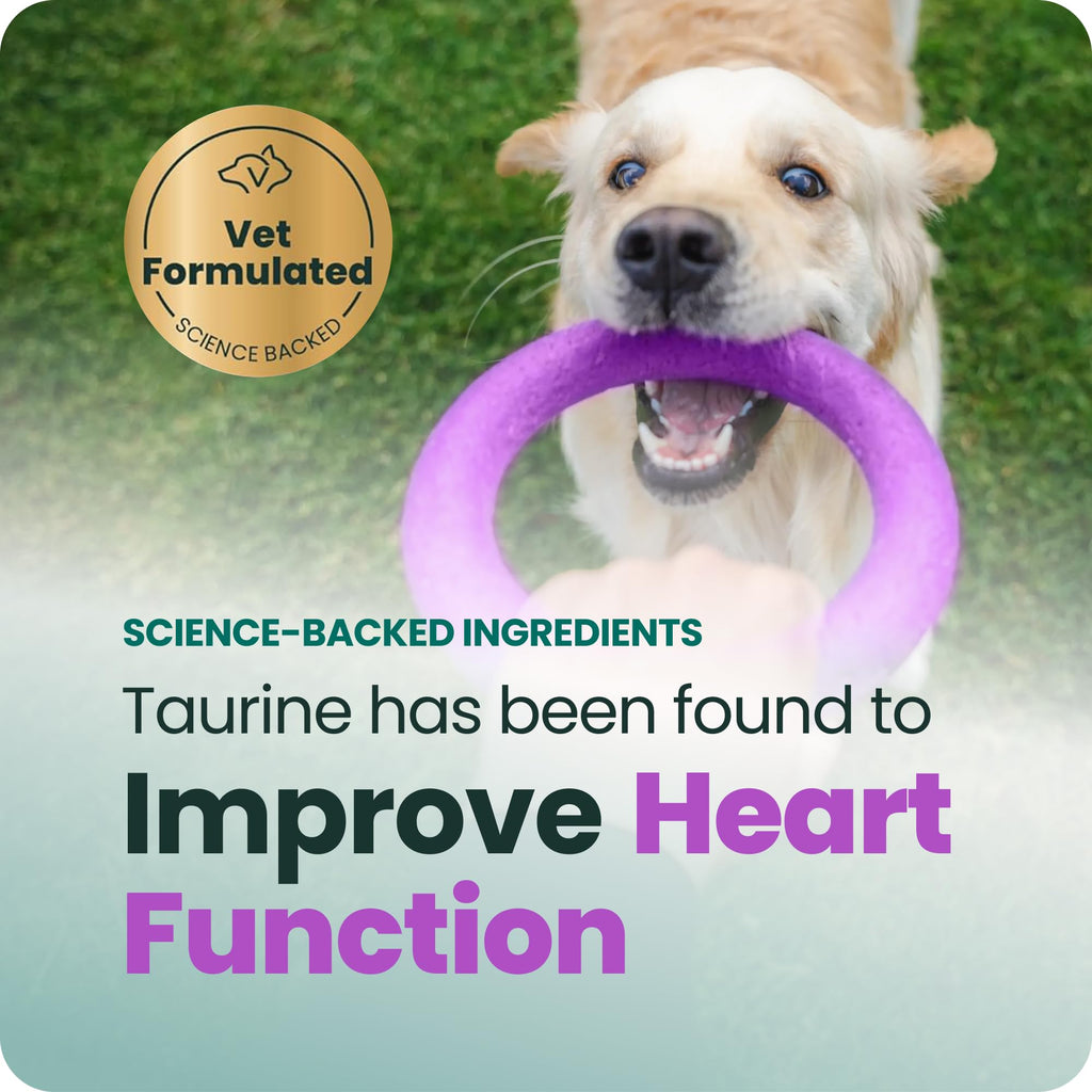 VetriScience Extra Strength Healthy Heart Chews for Dogs, Chicken, 60 Count