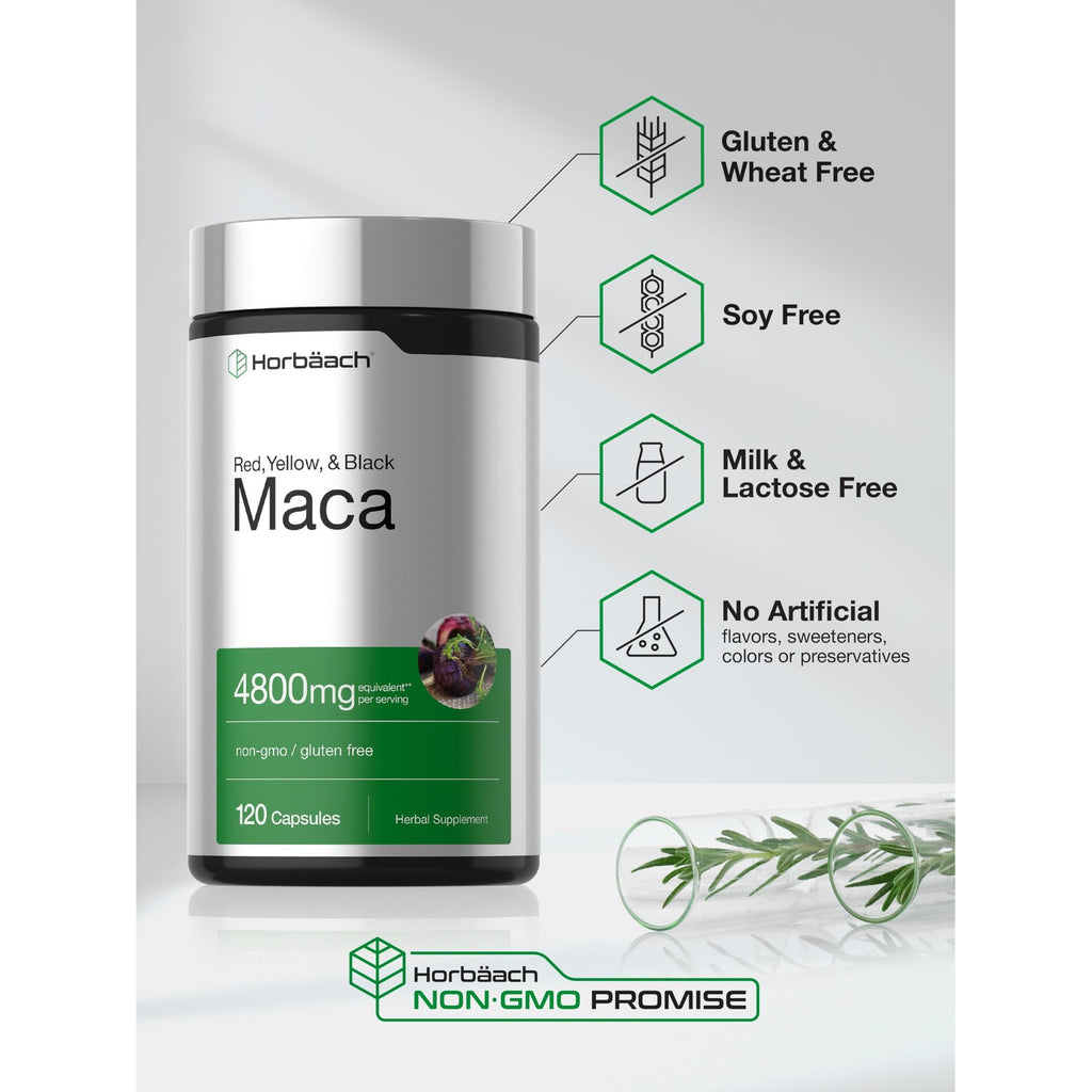 Horbäach Maca Root Capsules for Men and Women | 120 Pills | High Potency Extract | Non-GMO and Gluten Free Formula