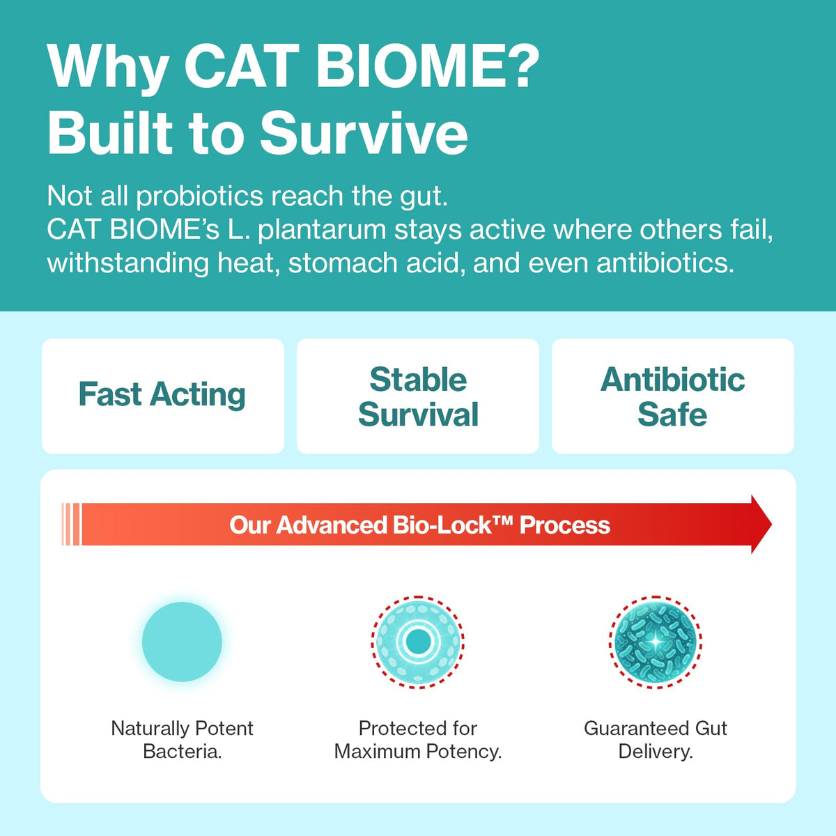 Doctor By Cat Biome Probiotics for cats Anti Diarrhea Feline Gut & Digestive Support Immune Health Sensitive Stomach Constipation with L. plantarum+Prebiotics 30 Lickable Formula Individually Packaged