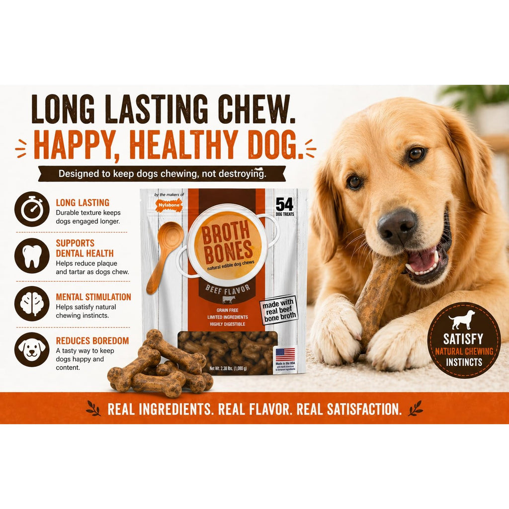 Nylabone Beef Broth Bones Dog Treats (Net 54Count), 2.38 Lb