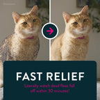 Capstar Oral Flea Tablets Cats 2-25 lbs, Nitenpyram, 6-Dose