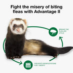 Advantage II Ferret Topical Flea Treatment & Prevention, 2ct
