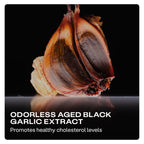 HumanN Cholesterol Health Daily Capsules, Lipid, & Liver Support, 60 Ct | Aged Black Garlic & Citrus Bergamot Extract, Clinically Studied Ingredients, Non-GMO, Once Daily, For Adults, Made in USA