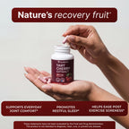 Montmorency Tart Cherry Capsules - Cold Pressed Tart Cherry Extract, 360mg Per Serving - Joint & Uric Acid Support - Vegan, Non-GMO, Gluten Free - 60 Count