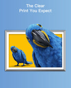 GPC Image 564XL Ink Cartridges for HP Printers for HP 564 Ink Cartridges