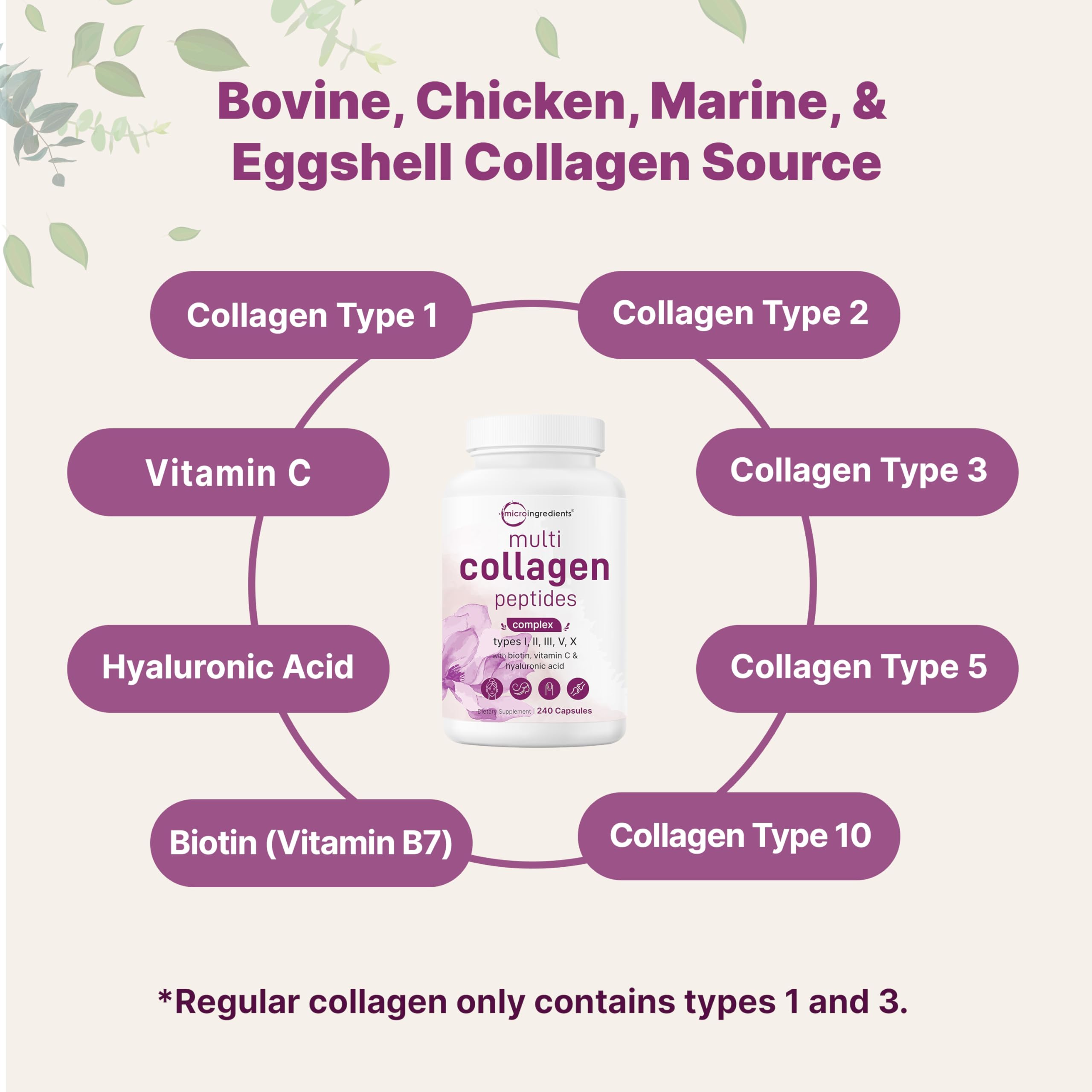 Micro Ingredients Multi Collagen Peptides Pills, 240 Capsules | For Women & Men. Type I, II, III, V, X. Hydrolyzed Collagen Supplement with Biotin, Hyaluronic Acid & Vitamin C. Filler Free.