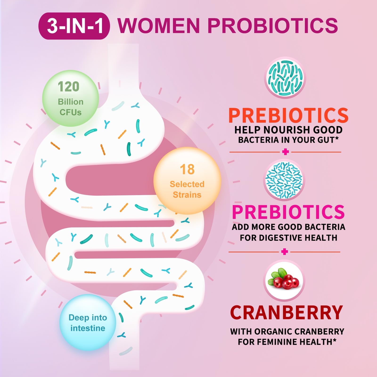 OMOGS 2PCS Women's Probiotic, with Cranberry Extract, Organic Prebiotics & Vitamin C, 120 Billion CFUs,18 Strains, Help for Boost Immune, Digestive, Gut Health & Women's Health, 240 Tablets