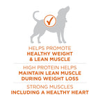Purina ONE Plus Healthy Weight Dry Dog Food, Real Turkey, 16.5 lb Bag