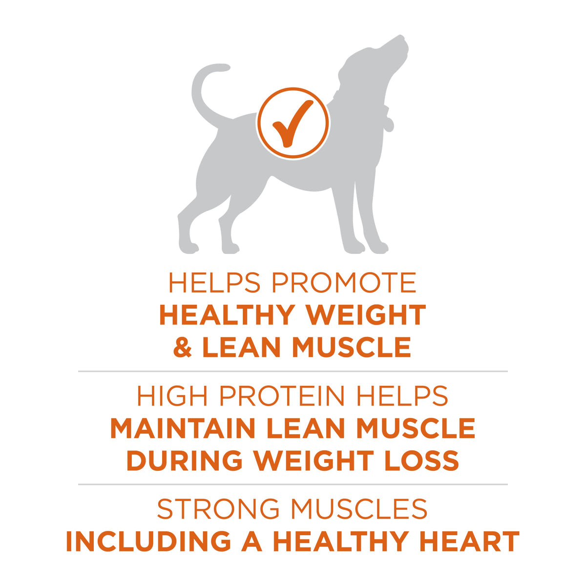 Purina ONE Plus Healthy Weight Dry Dog Food, Real Turkey, 31.1 lb Bag