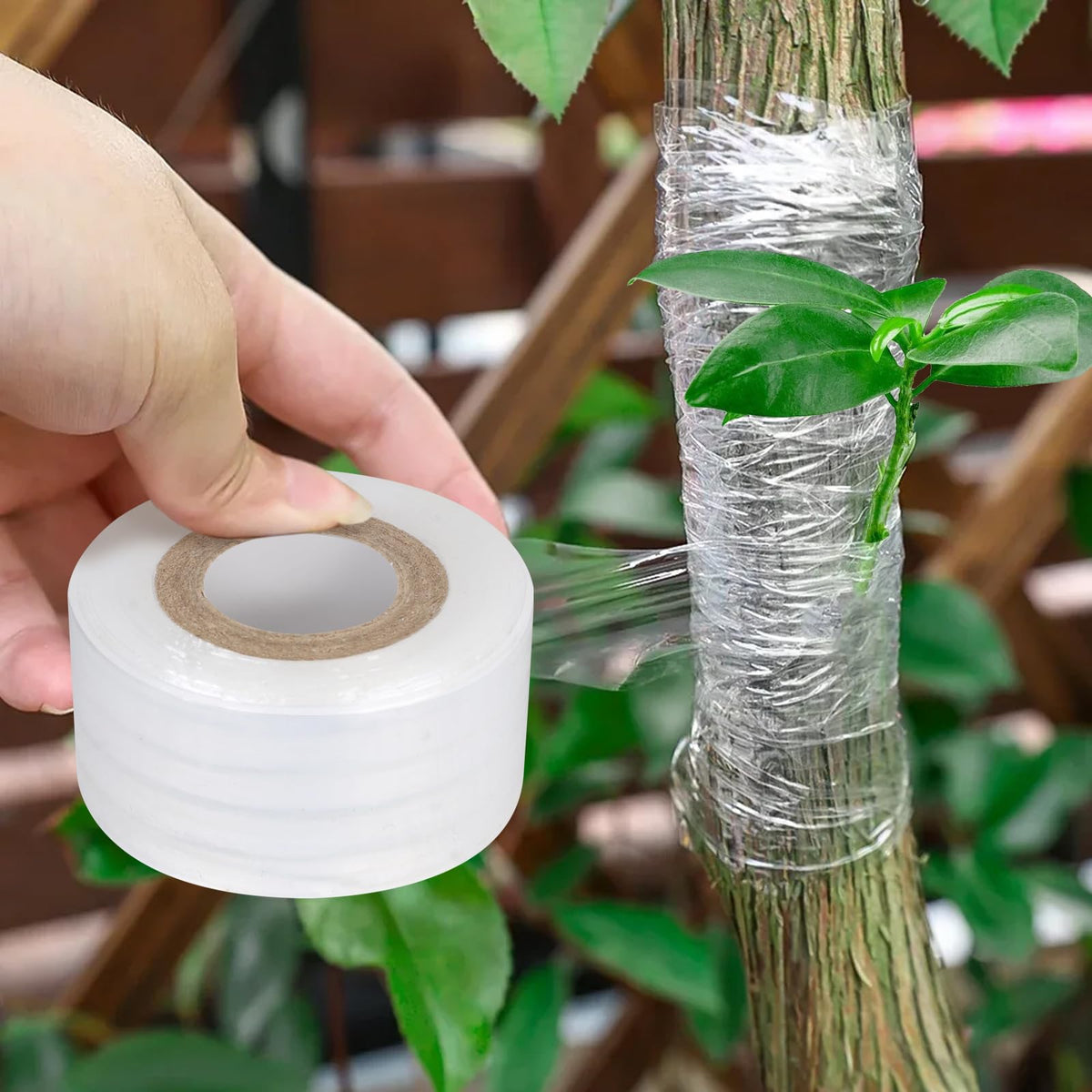 Oligei Grafting Tape 3P, Stretchable Self Adhesive Tree Grafting Tape, Tree Repair Tape for Fruit Trees, Plants, Broken Stem, Floral (Green and White)