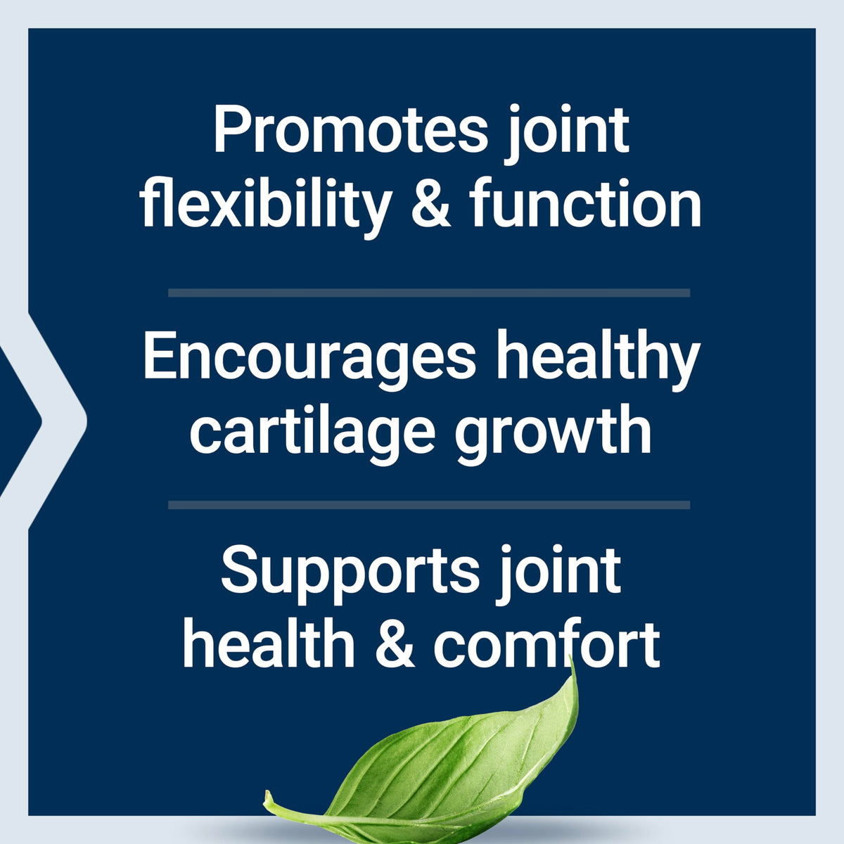 Life Extension NT2 Collagen Joint Health Supplement, 60 Small Capsules