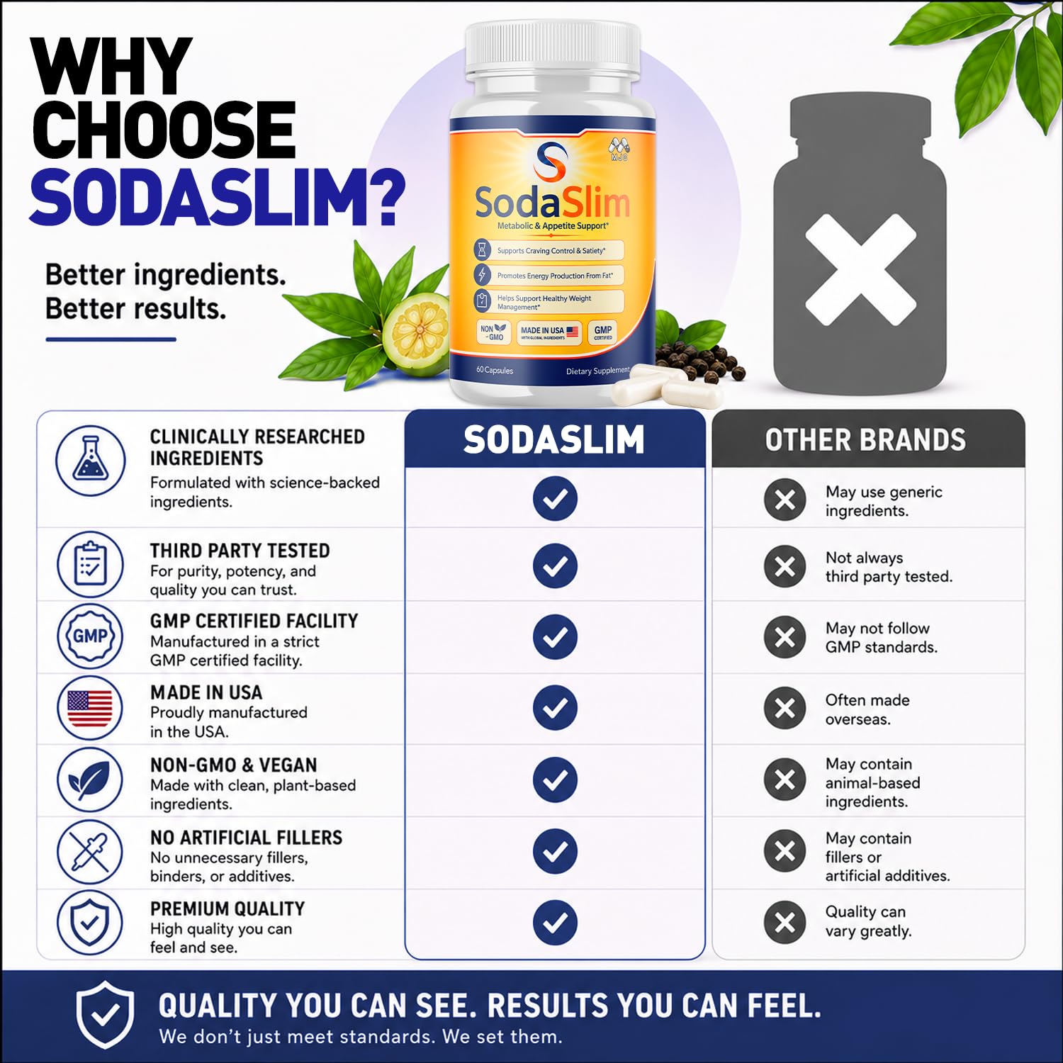 (2 Pack) Sodaslim Weight Management Soda Slim Advanced Pills (120 Capsules)
