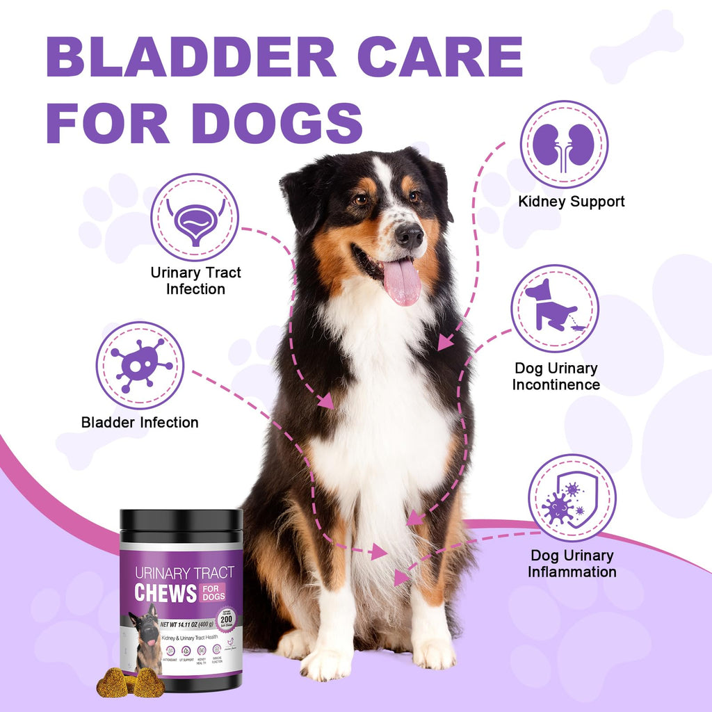 Dog UTI Treatment, 200 Soft Chews Cranberry Supplement for Dogs with D-Mannose Support Normal Urinary Tract Bladder Health & Kidney & Incontinence Remedy Stops UTI Treats Chicken Flavor