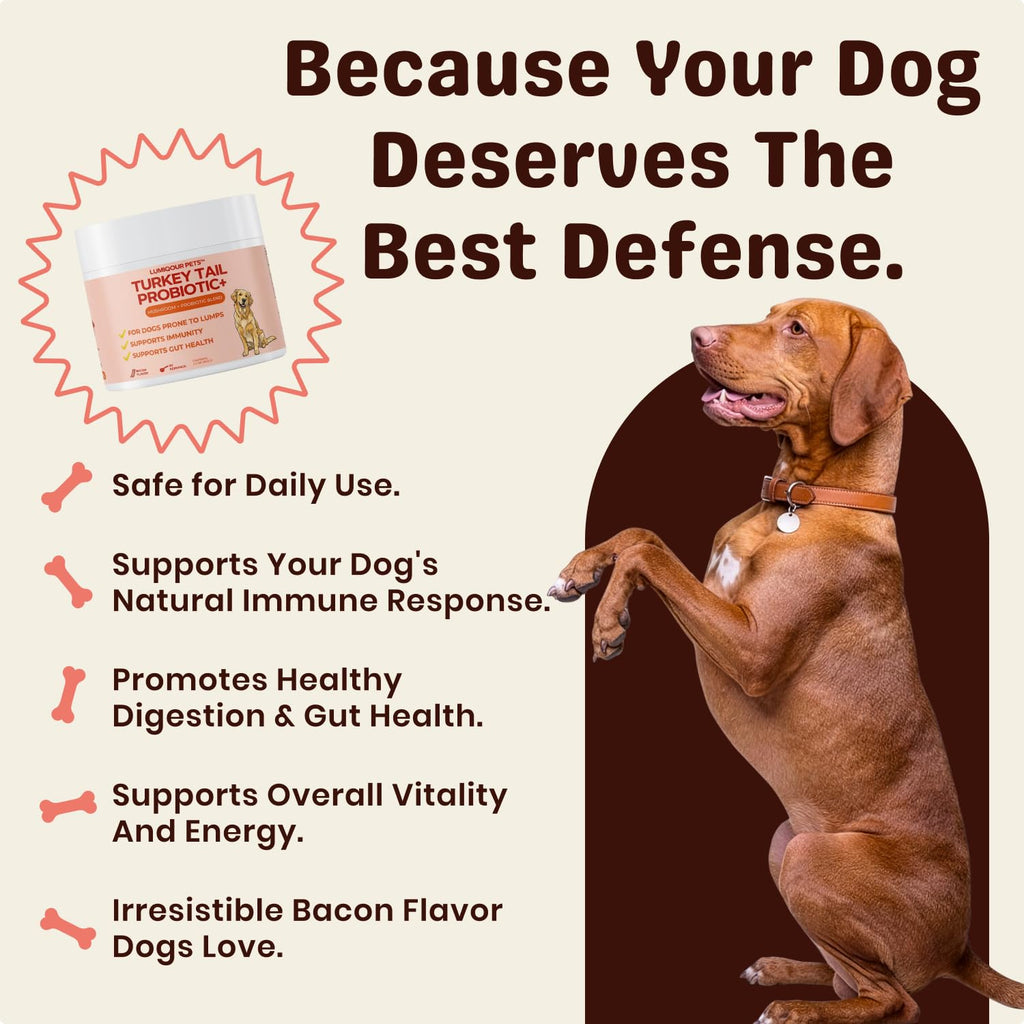 Turkey Tail Mushroom for Dogs – Turkey Tail Mushroom Powder with Probiotics for Immune and Digestive Support, Supports Lumps and Bumps, Bacon Flavored Daily Dog Supplement