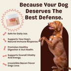 Turkey Tail Mushroom for Dogs – Turkey Tail Mushroom Powder with Probiotics for Immune and Digestive Support, Supports Lumps and Bumps, Bacon Flavored Daily Dog Supplement