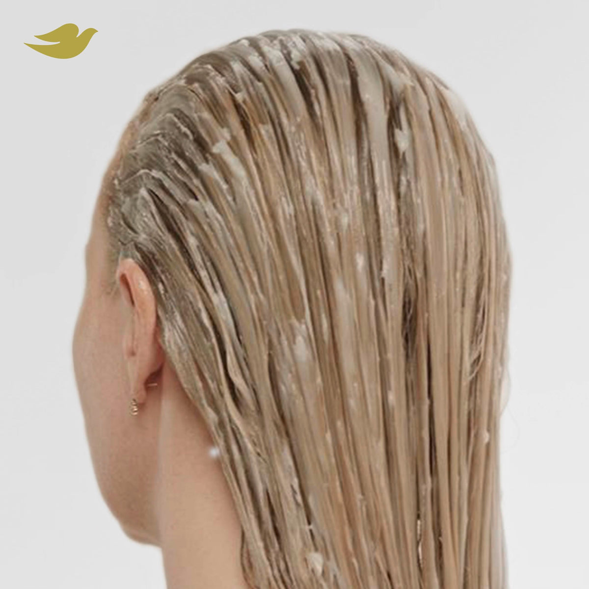 Dove Bond Strength Shampoo & Conditioner Set + 10-in-1 Serums