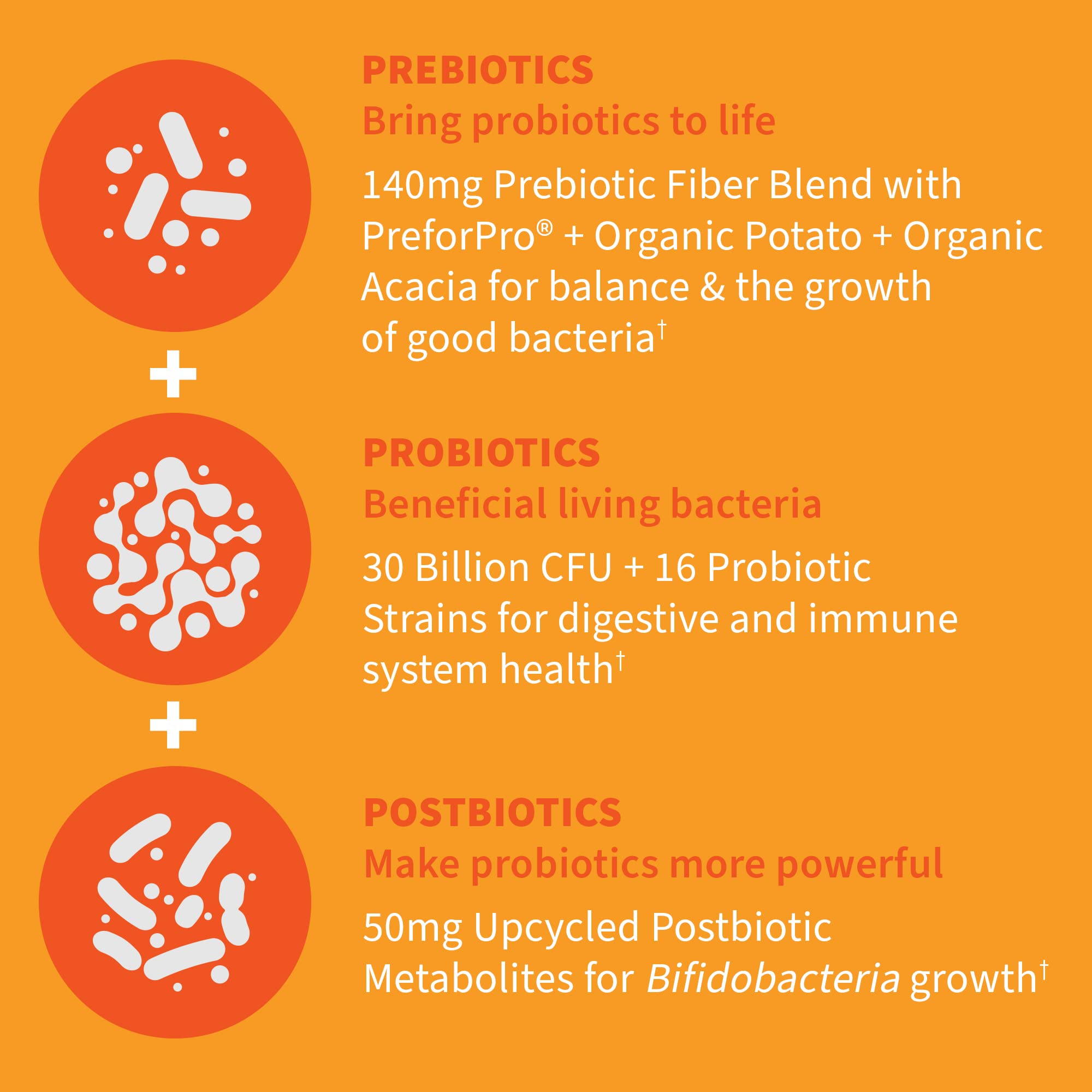 Garden of Life Probiotics, 30 Mini Vegetarian Capsules
