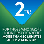 GoodSense Nicotine Polacrilex Mini Lozenges 2 mg, Mint Flavor, 216 Count