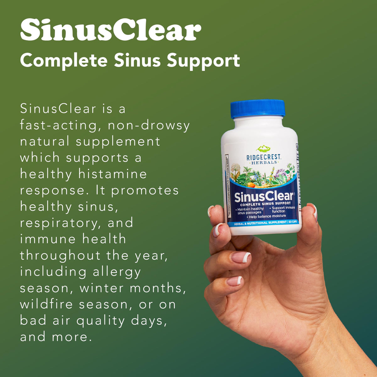 RidgeCrest Herbals SinusClear Mullein Sinus, Nasal and Immune Support 60 Ct