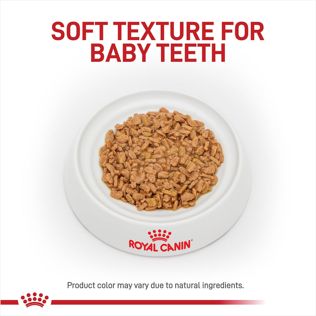 Royal Canin Size Health Nutrition Small Puppy Thin Slices in Gravy Wet Dog Food, 5.1 oz 24-Pack