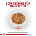 Royal Canin Size Health Nutrition Small Puppy Thin Slices in Gravy Wet Dog Food, 5.1 oz 24-Pack