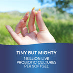 Buy now Probiotic Pearls Acidophilus Once Daily Probiotic Supplement, 1 Billion Live Cultures, Survives Stomach Acid, No Refrigeration, 90 Softgels (Packaging May Vary) at indiglob india