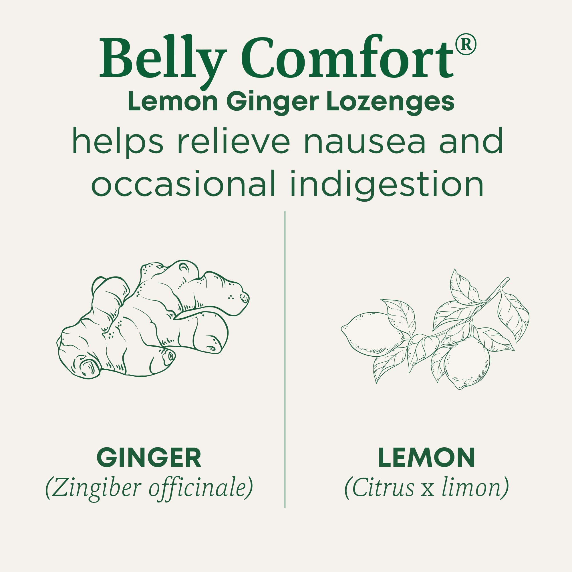 Traditional Medicinals Organic, Belly Comfort Lozenges, Lemon Ginger - Supports Nausea Relief and Occasional Indigestion - Non-GMO, Stimulant-Free - 30 Individually Wrapped Lozenges