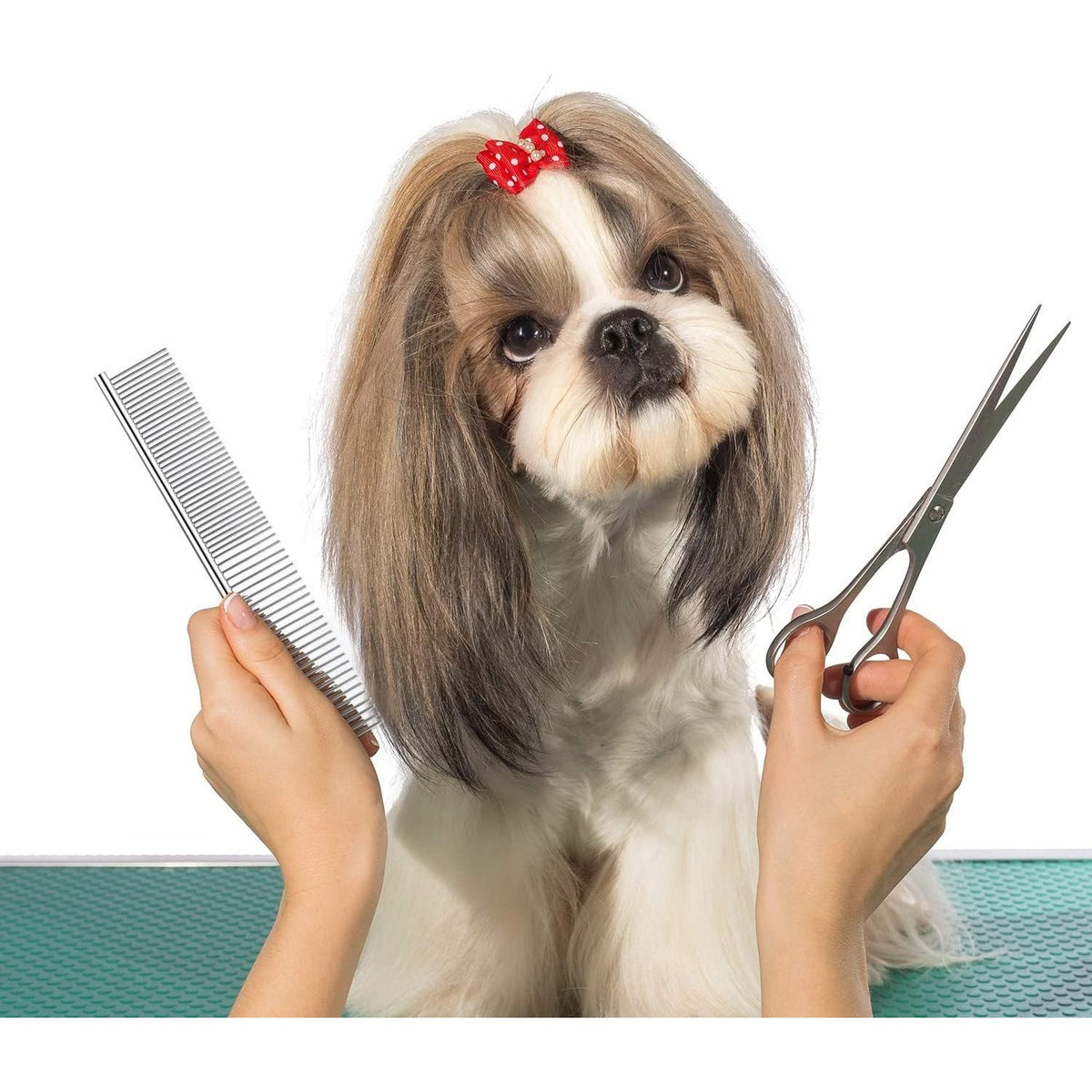 Dog Combs for Grooming, Metal Cat Comb for Long Haired